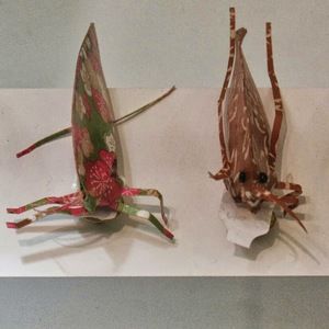 Meet your Posher, Dawn